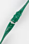Hirsch LONDON Shiny Alligator Leather Watch Strap in GREEN