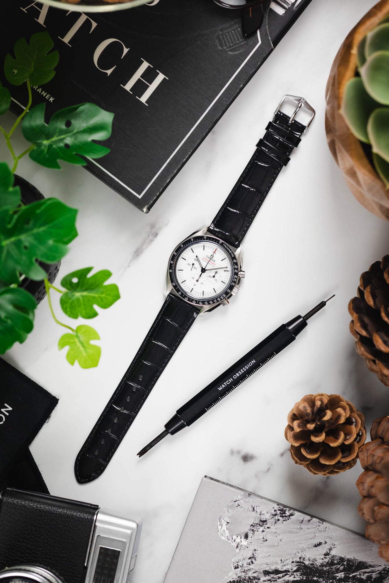 Hirsch LOUISIANALOOK Alligator Embossed Leather Watch Strap in BLACK