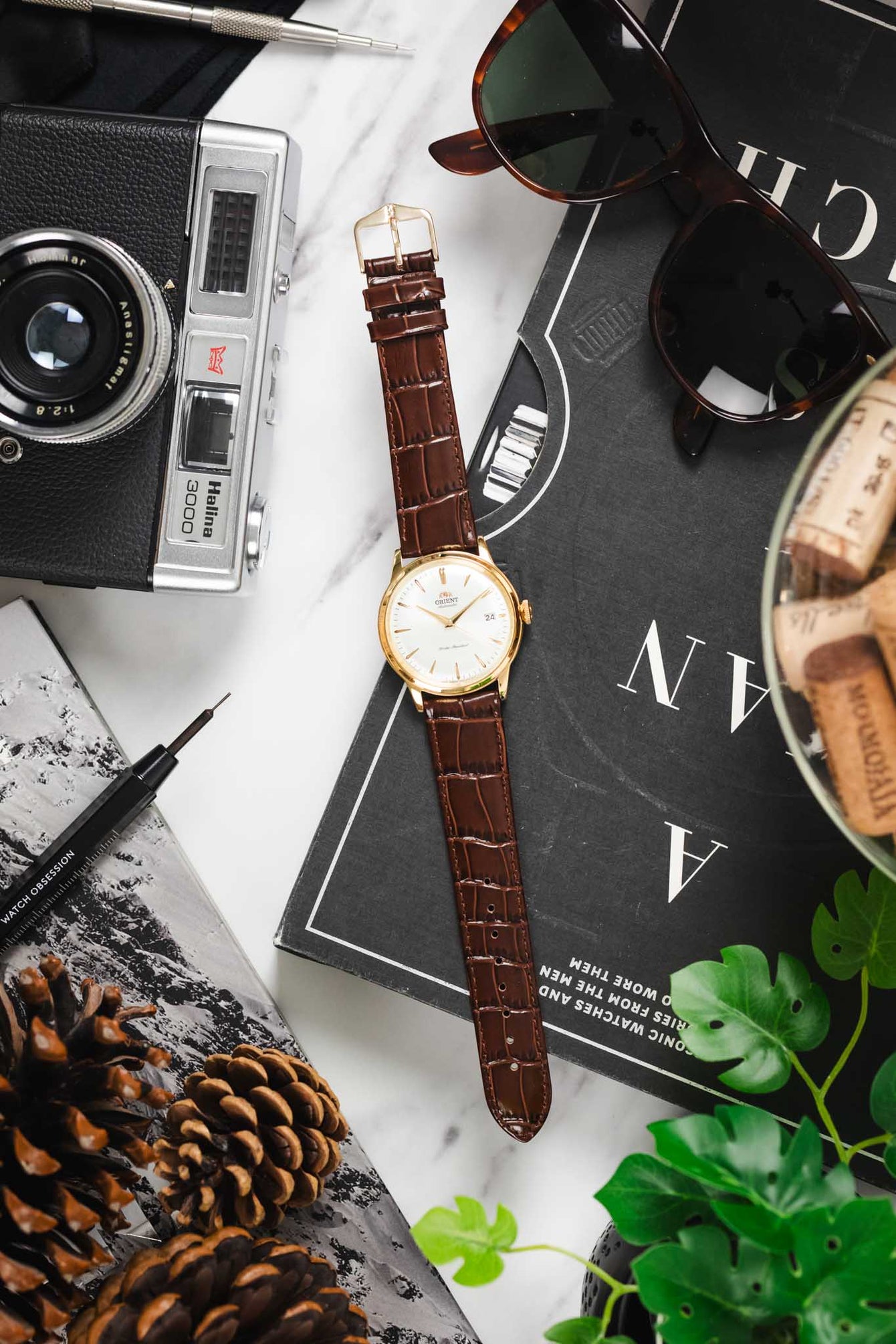 Hirsch LOUISIANALOOK Alligator Embossed Leather Watch Strap in BROWN