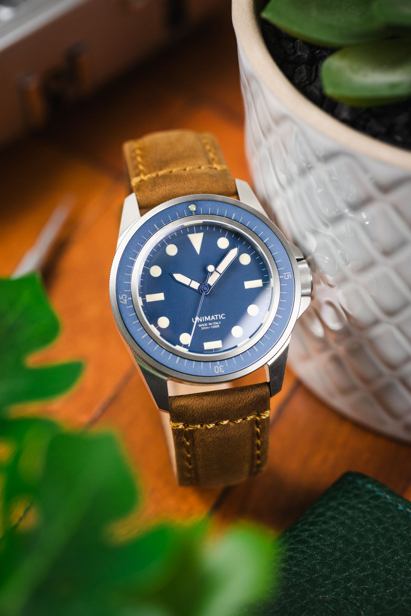 Close-up of a Unimatic dive watch with a blue dial and bezel on a tan leather strap, styled beside a white plant pot and greenery on a wooden surface.