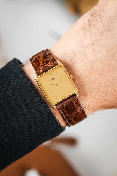 Morellato MOMBASA Genuine Crocodile Watch Strap in DARK BROWN