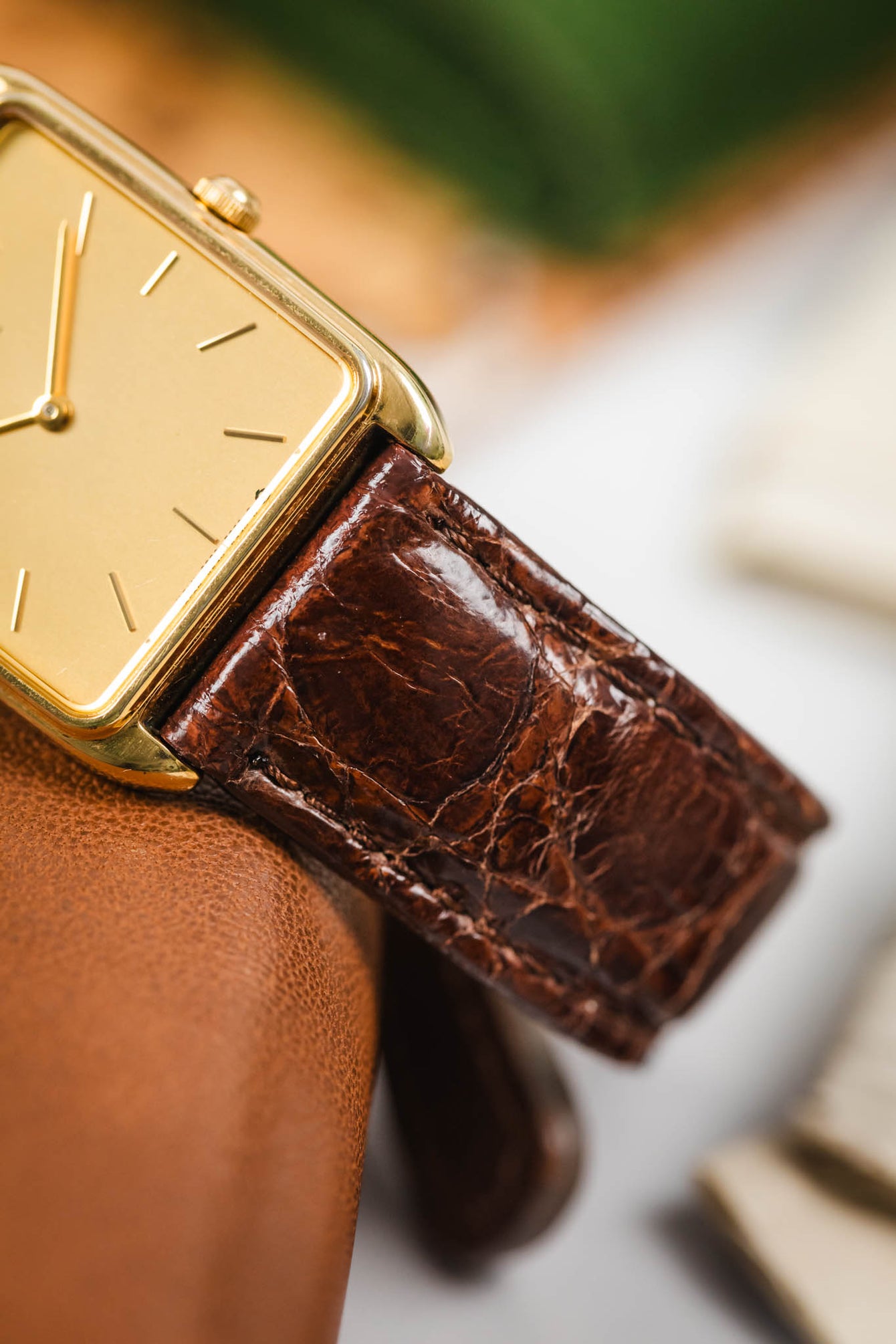Morellato MOMBASA Genuine Crocodile Watch Strap in DARK BROWN