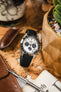 Morellato SOCCER Alligator-Embossed Calfskin Leather Watch Strap in BLACK