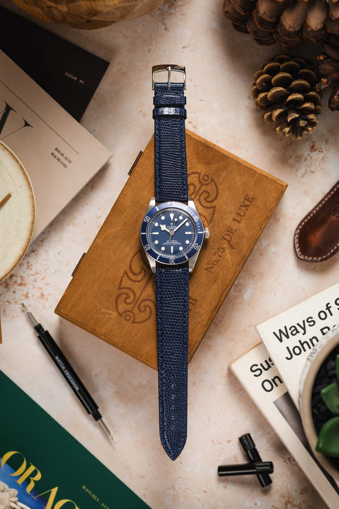 A top-down flat lay composition showcasing a silver Tudor Black Bay 58 watch with a blue dial and bezel, fitted with a long, textured dark blue watch strap with a silver buckle. The watch is centrally placed, resting on a wooden box. It is surrounded by various objects on a light, textured surface, including pinecones, a brown leather tool holder, a small potted succulent plant, a black watch tool, and parts of books or magazines.