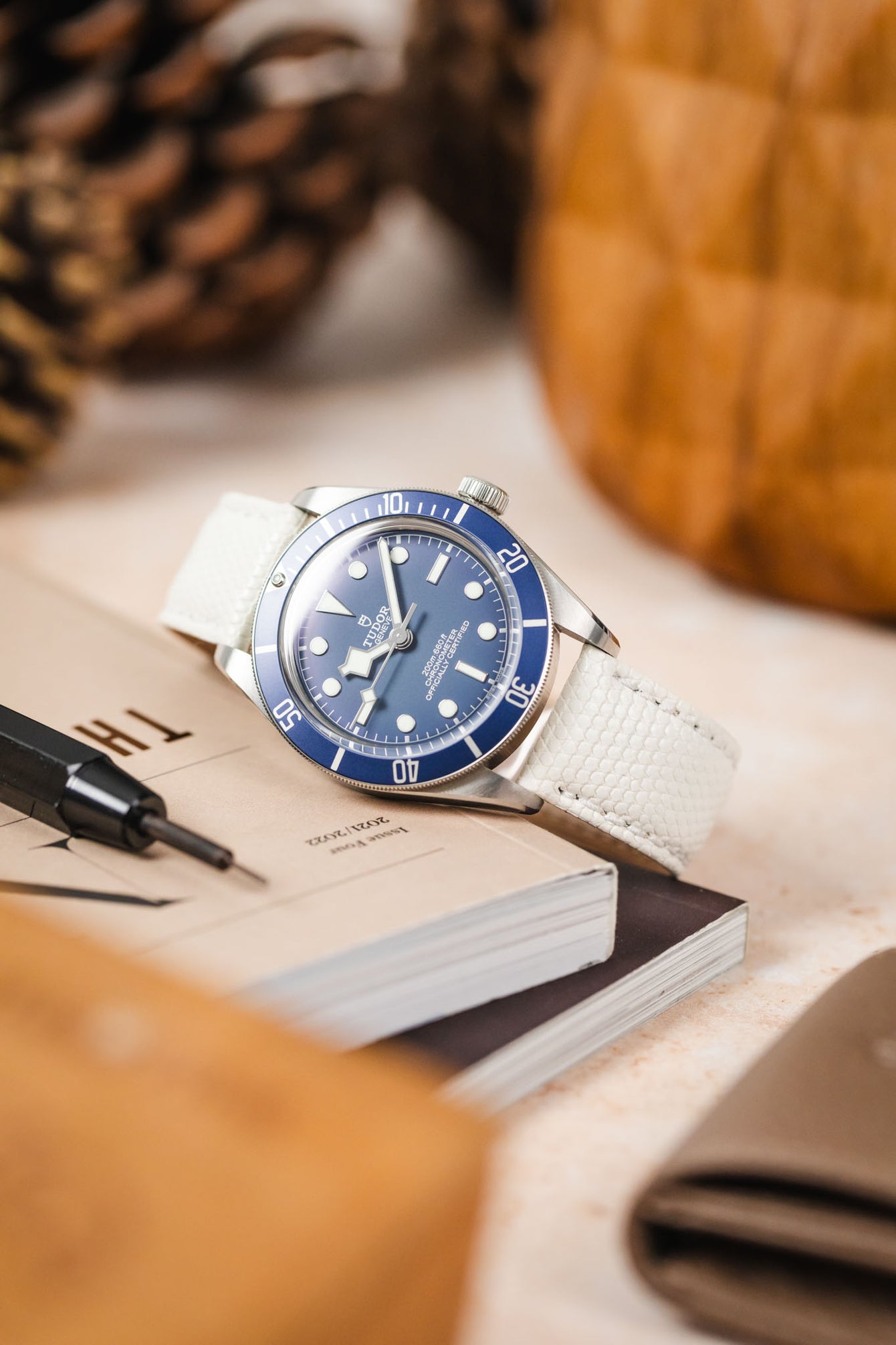 A top-down, slightly angled shot of a silver Tudor Black Bay 58 watch with a blue dial and bezel, fitted with an off-white lizard-patterned strap. The watch is resting on an open book or magazine. A black watch tool is positioned next to it. The background is blurred with warm, earthy tones, showing pinecones and a wooden object.