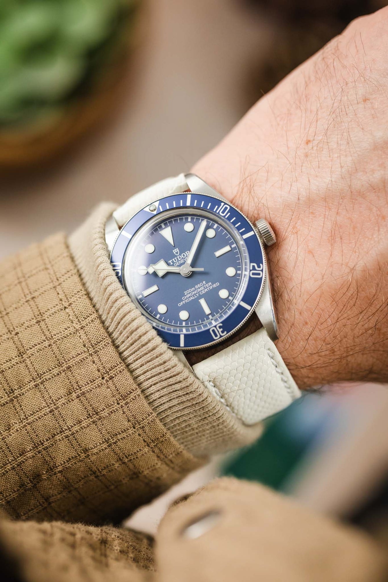 A close-up shot of a wrist wearing a silver Tudor Black Bay 58 watch with a blue dial and bezel, paired with an off-white lizard-patterned watch strap. The arm has light skin and is partially covered by a beige, checkered sleeve. The background is softly blurred with warm, neutral tones.