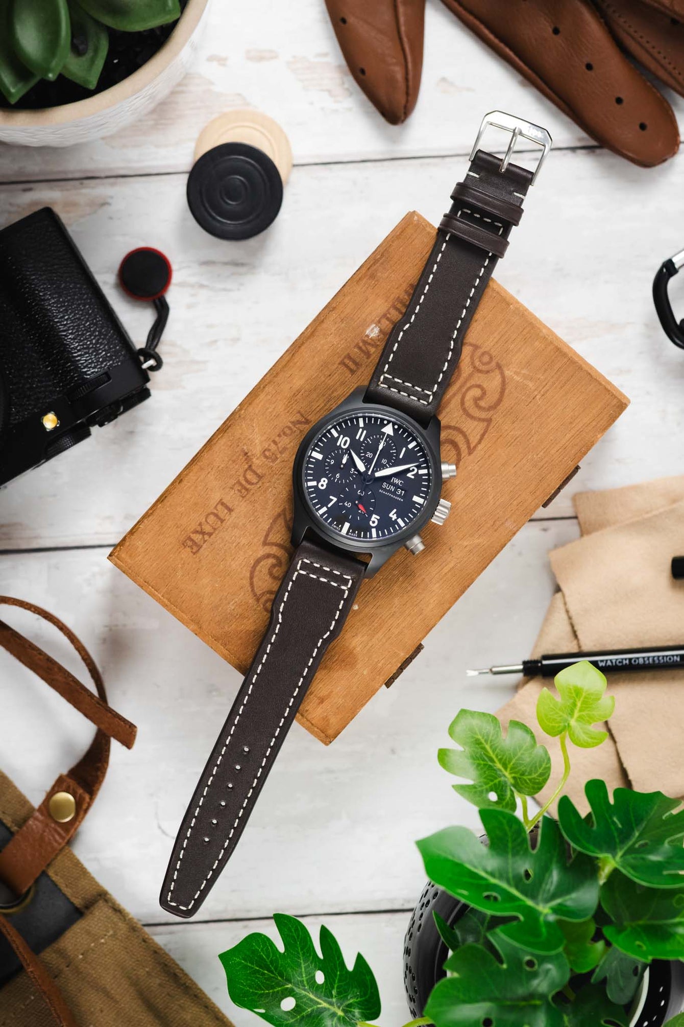 Flat lay of a black IWC chronograph watch with a dark brown leather strap on a wooden box, surrounded by camera gear, tools, and green plant leaves.