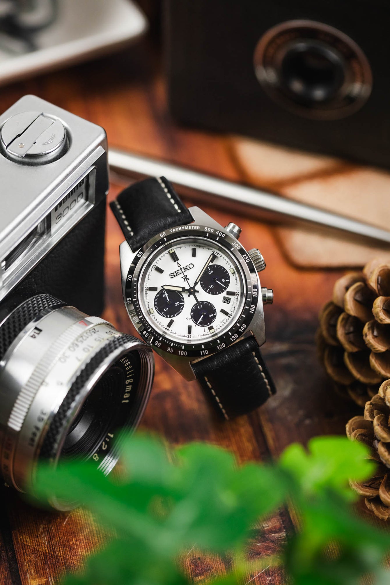 A close-up of a Seiko chronograph watch on a black RIOS1931 Montana leather strap with white stitching, surrounded by a vintage camera lens and pine cones.