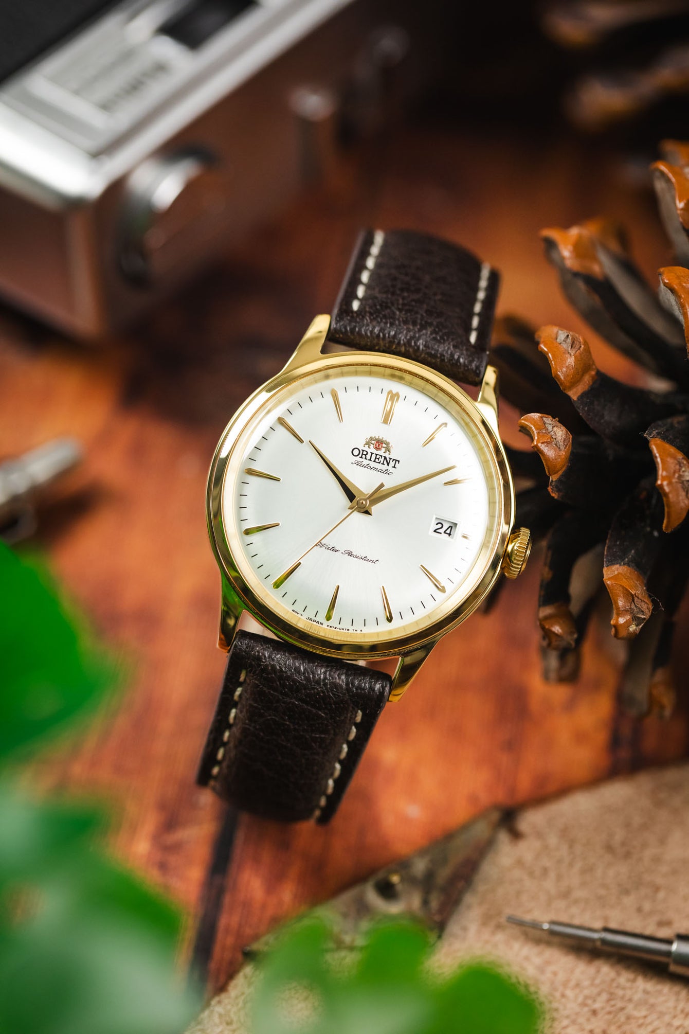 An Orient watch on a dark brown RIOS1931 Montana leather strap, photographed on a wooden surface with a vintage camera and pine cones.