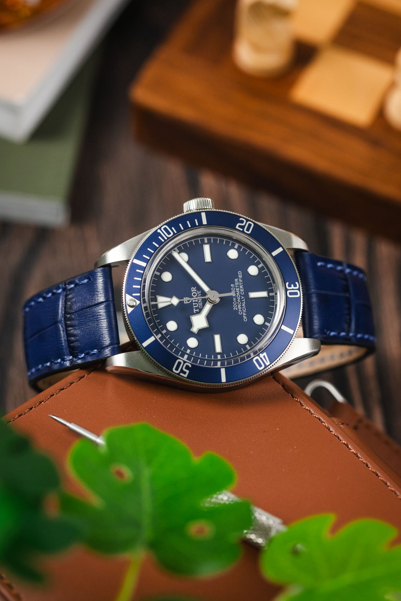 RIOS1931 ORLANDO Alligator-Embossed Leather Watch Strap in NAVY BLUE