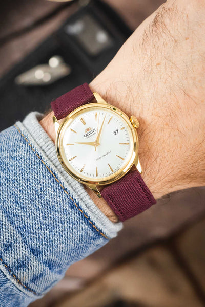 Orient Bambino automatic watch on a burgundy canvas strap, shown on wrist with a white dial and gold-tone case.