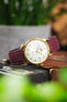 Orient Bambino automatic watch on a burgundy canvas strap, displayed on vintage camera equipment with a white dial and gold-tone case.