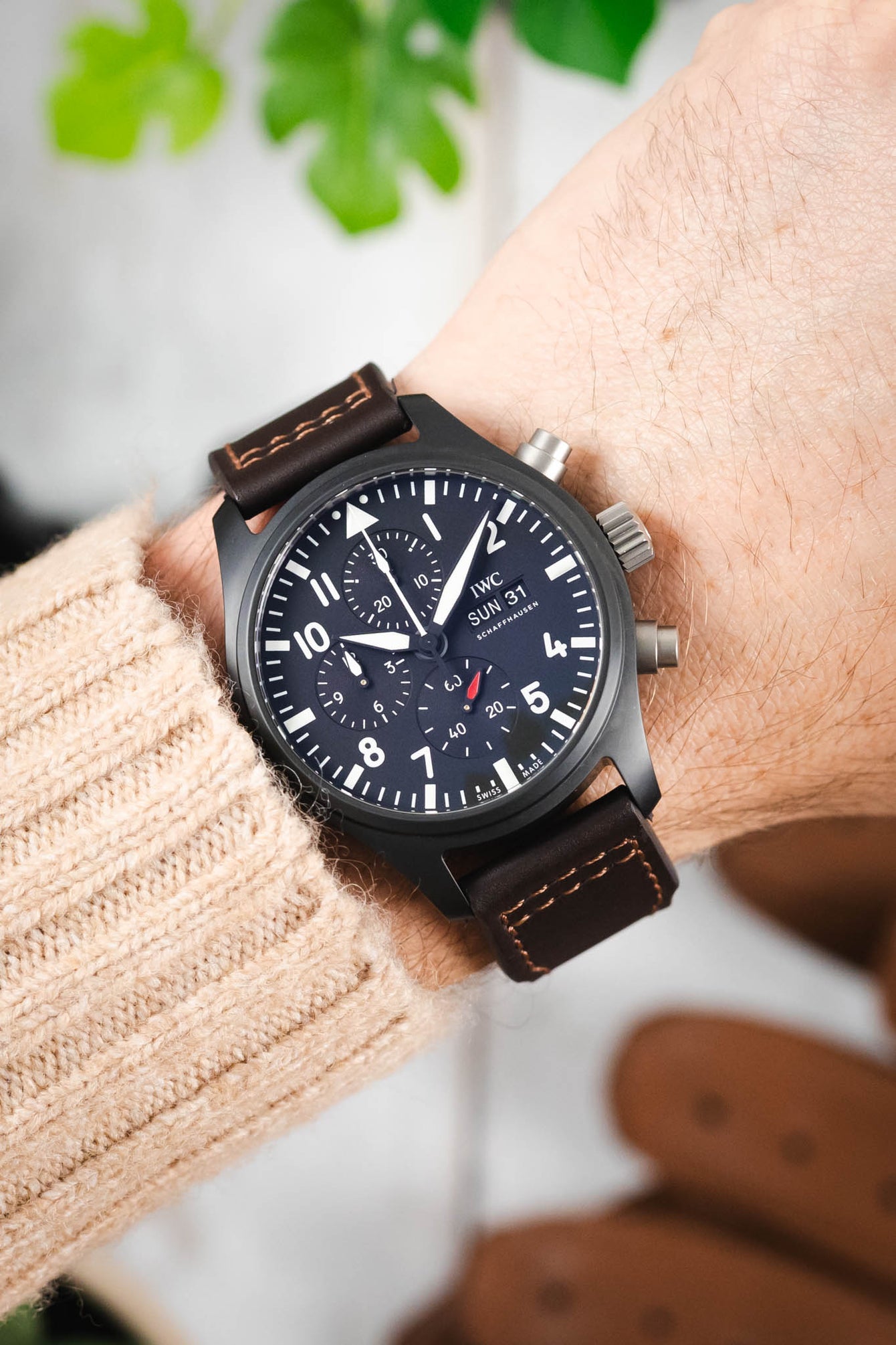 Close-up of a wrist wearing a black IWC chronograph watch with a dark dial, white numerals, and a brown leather strap, paired with a beige knitted sleeve, with blurred green plant leaves in the background.