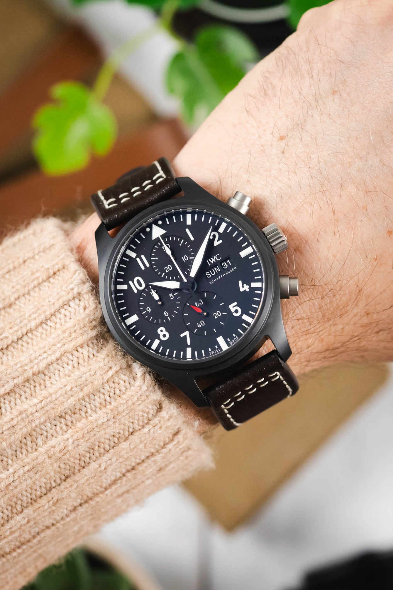 Close-up of a black IWC chronograph wristwatch with a dark dial, bold white numerals, and subdials, worn on a wrist with a brown leather strap featuring white contrast stitching, paired with a beige knit sleeve and set against a softly blurred indoor background with green plant leaves.
