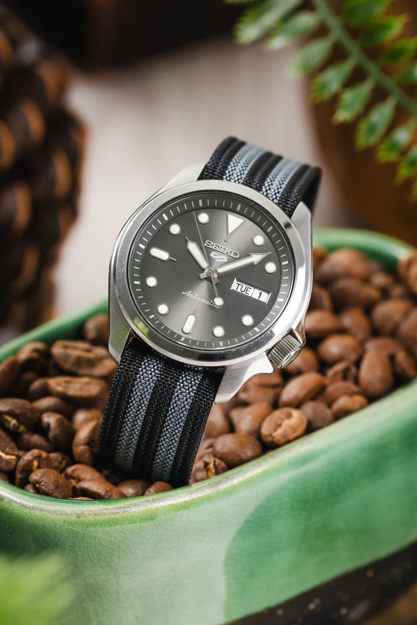 Close-up of a Seiko automatic watch with a grey sunburst dial, luminous hour markers, and a day-date display at the 3 o’clock position, resting upright in a green dish filled with coffee beans. The watch is fitted with a black ribbed nylon strap featuring grey striped detailing. The scene includes softly blurred pinecones and greenery in the background, creating a warm, rustic lifestyle setting.