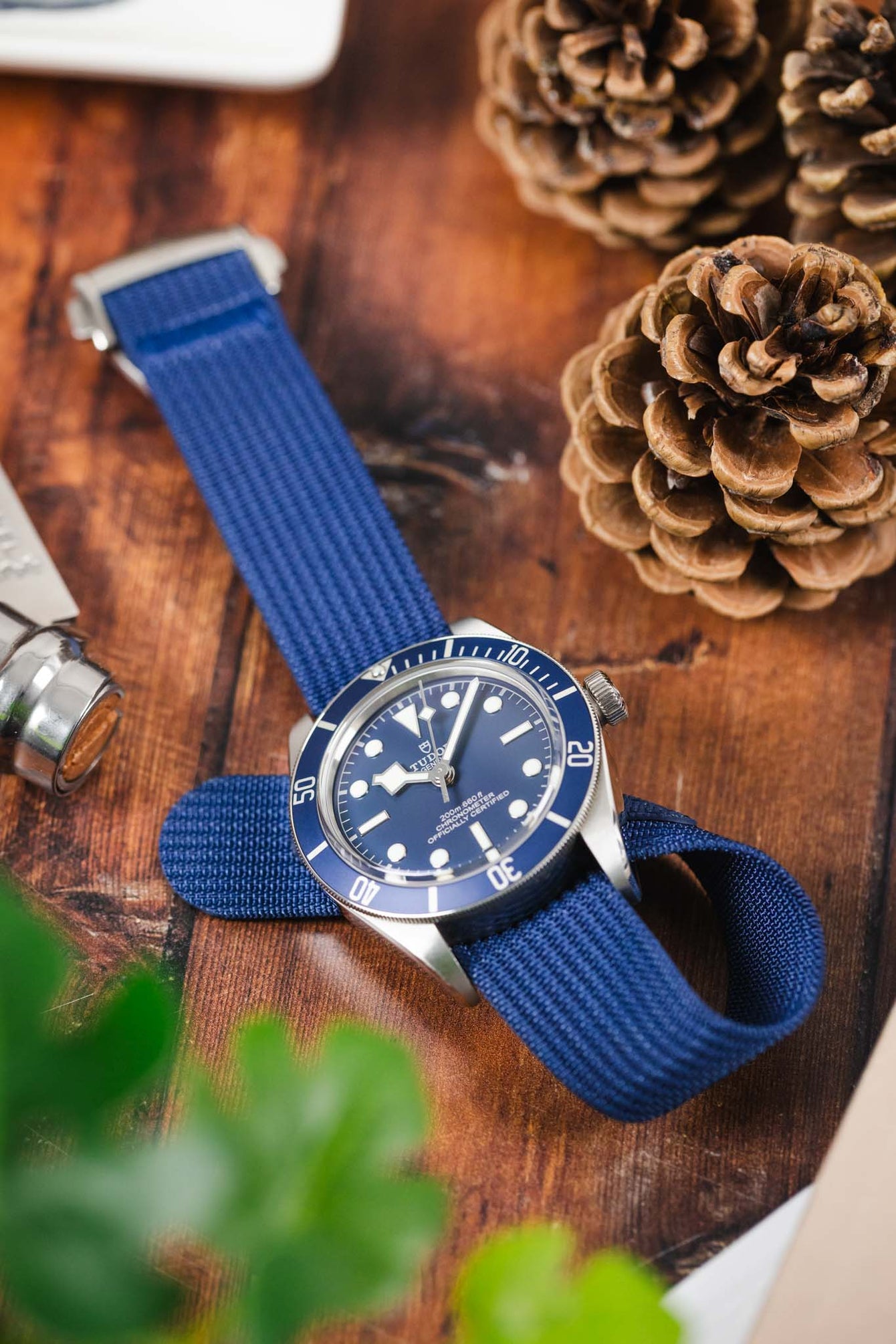 Close-up of a stainless steel Tudor dive watch with a blue dial and matching blue fabric strap, resting on a wooden surface beside pinecones, with soft green plant leaves in the foreground and a blurred background of everyday items.