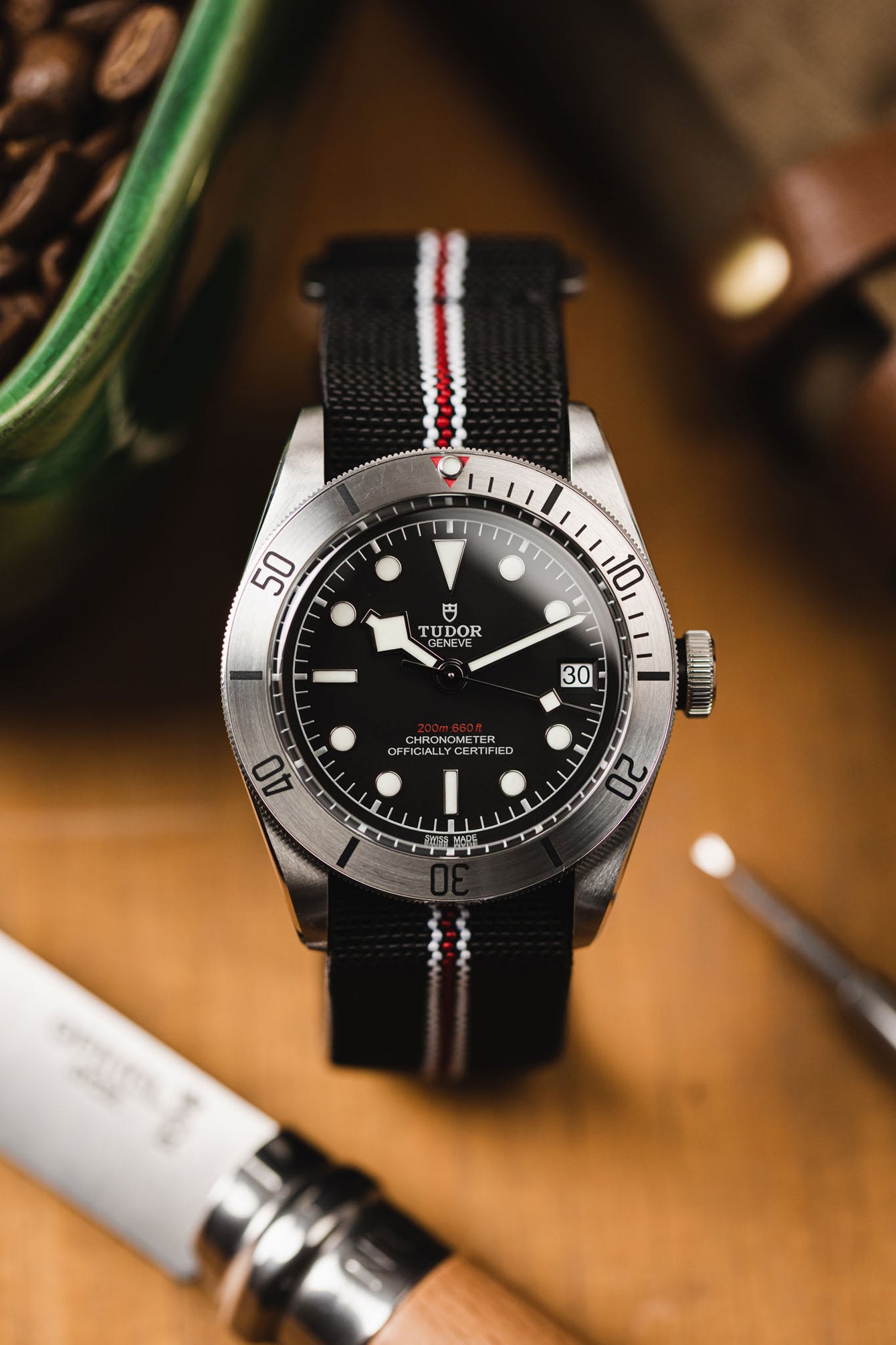 Erika's Originals CORSA MN™ Strap with RED Centerline - BRUSHED Hardware