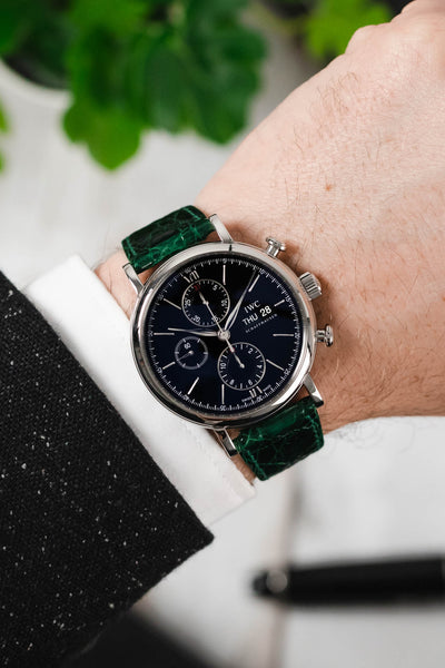 IWC Portofino Chronograph fitted with Hirsch Genuine Crocodile green leather watch strap worn on wrist