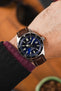 Seiko Prospex SBDC055 fitted with Hirsch George Brown Alligator watch strap worn on wrist
