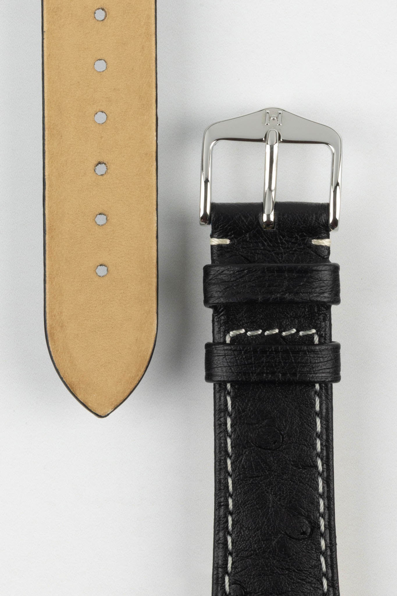 Hirsch clearance massai ostrich