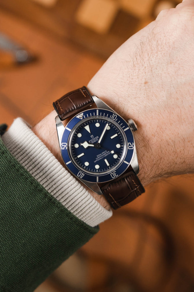 Blue Tudor Black Bay 58 fitted with Hirsch Paul Brown Alligator Watch Strap worn on wrist