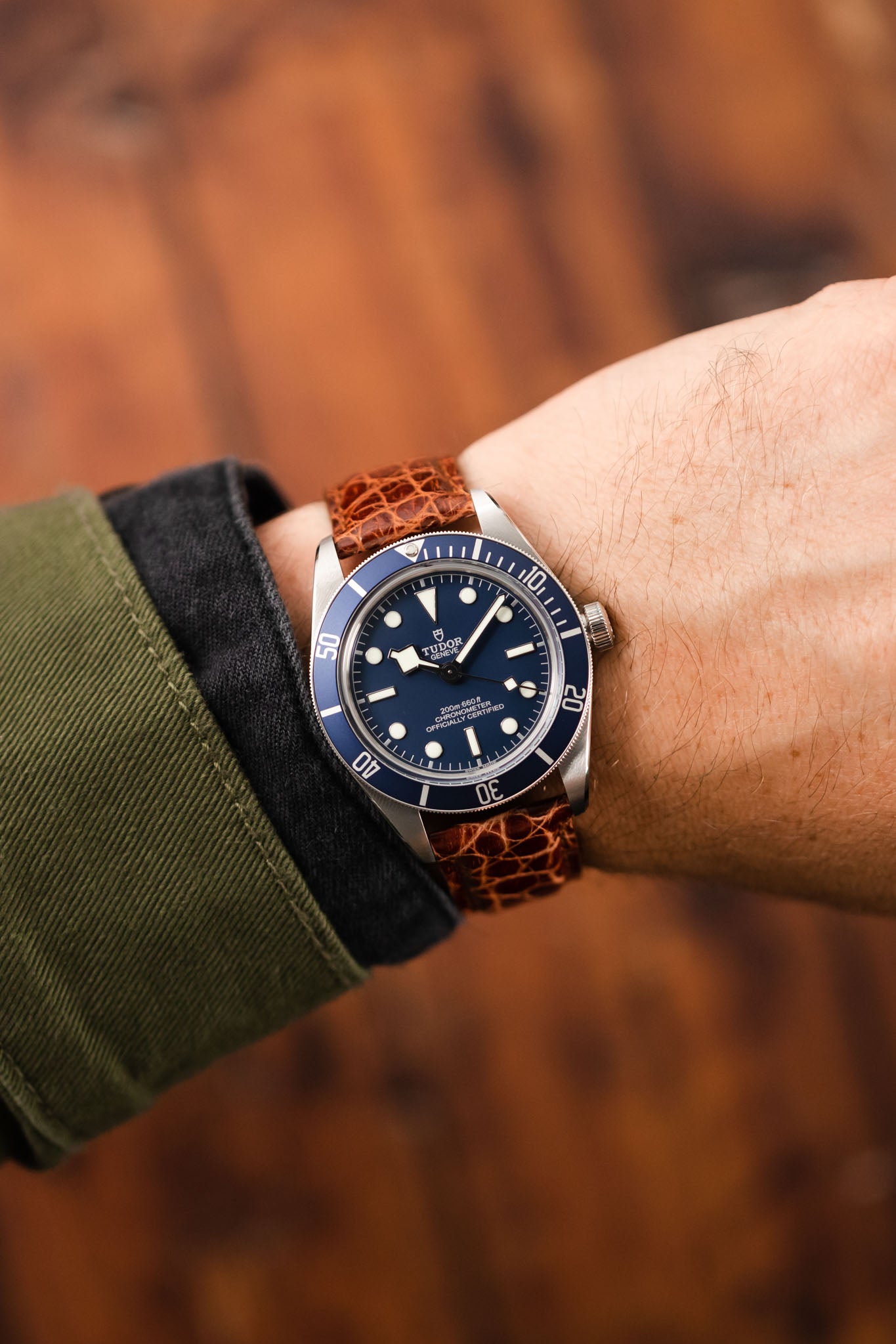 Morellato AMADEUS Genuine Crocodile Watch Strap in GOLD