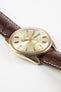 OMEGA Seamaster 36mm - 18k Gold