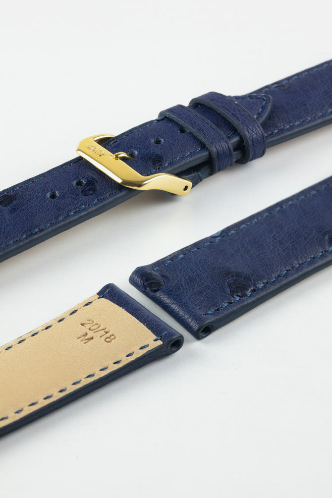 RIOS1931 MAISON Genuine Ostrich Leather Watch Strap in NAVY BLUE